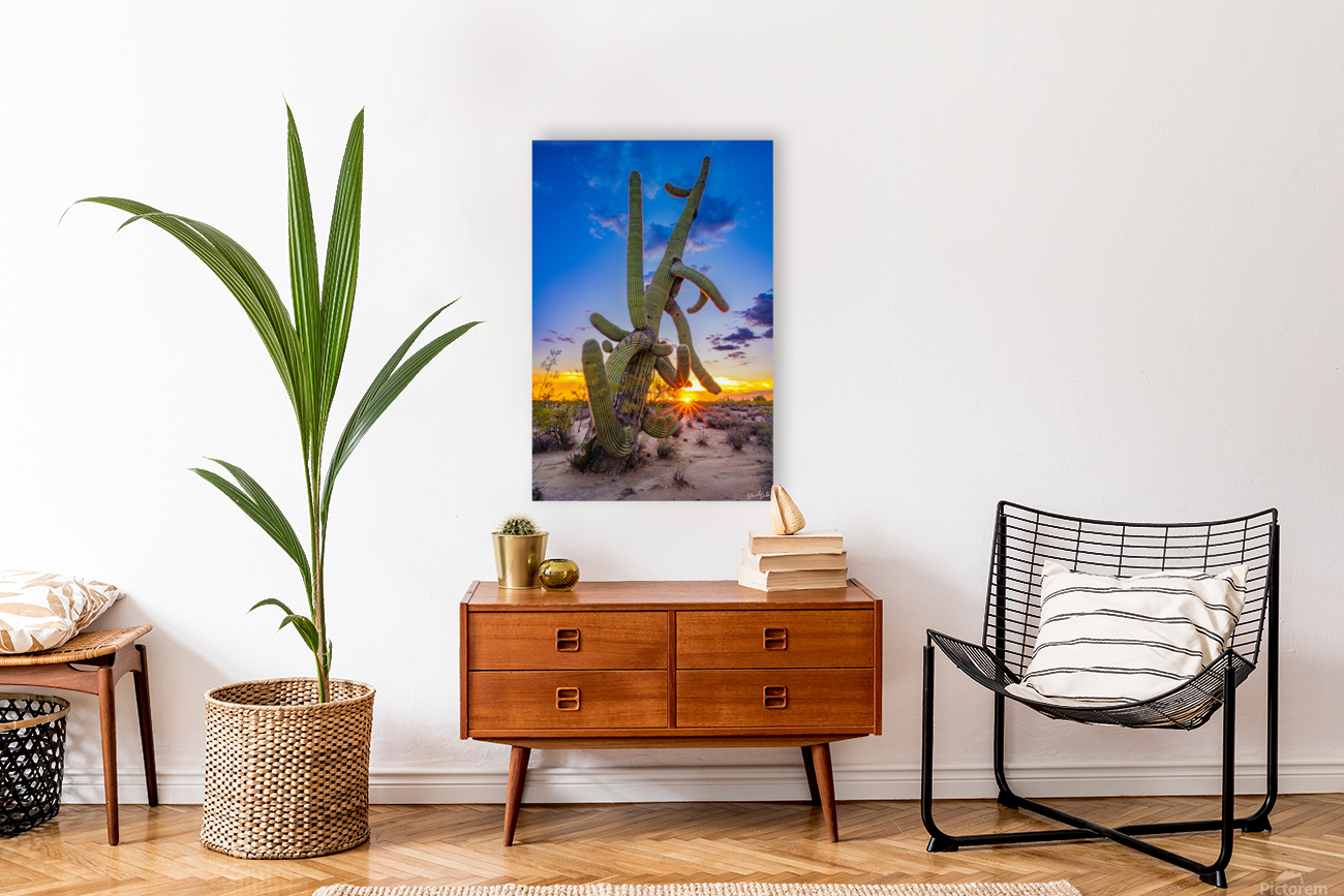Tangled Sunset Reproduction