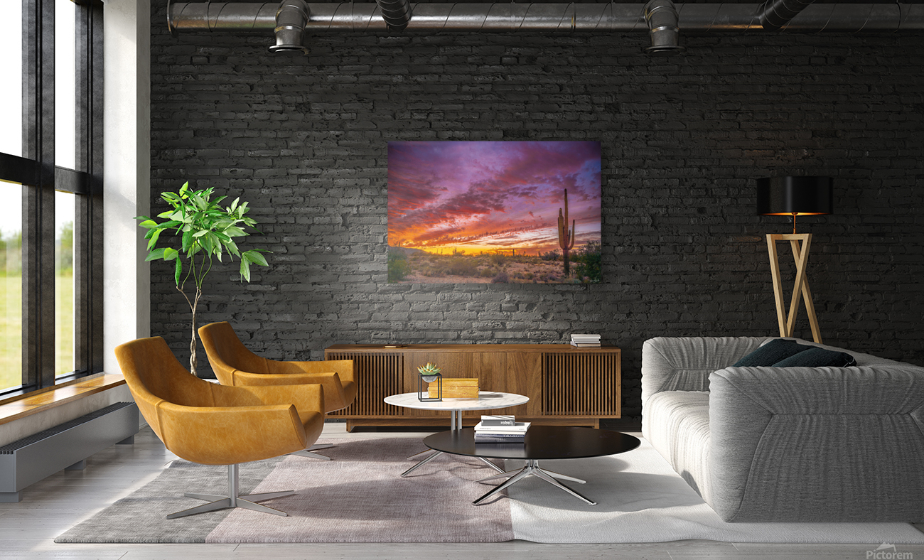 Blazing Sky Reproduction
