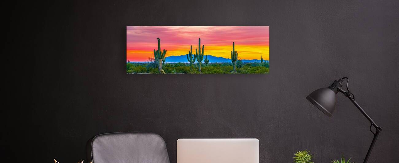 The Color of Beauty Pano by SoapBoxintheSky