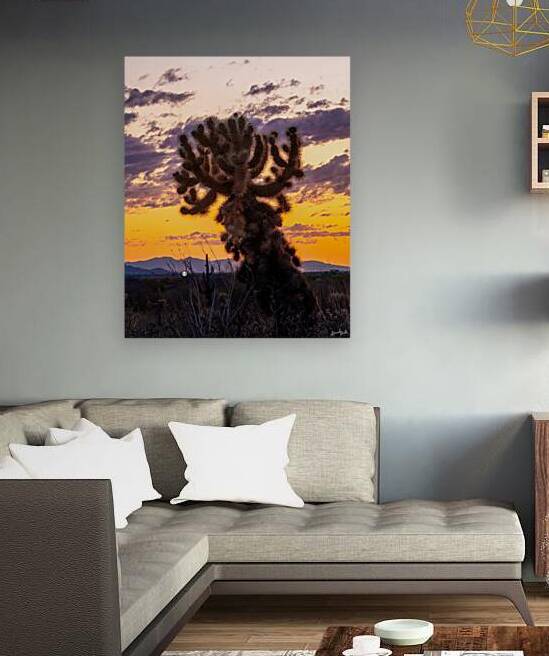 Cholla Sunset by SoapBoxintheSky