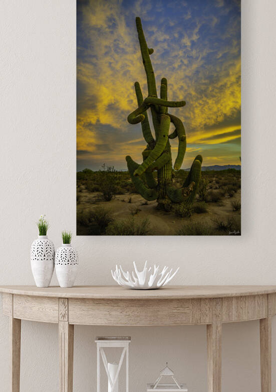 Octo Saguaro by SoapBoxintheSky