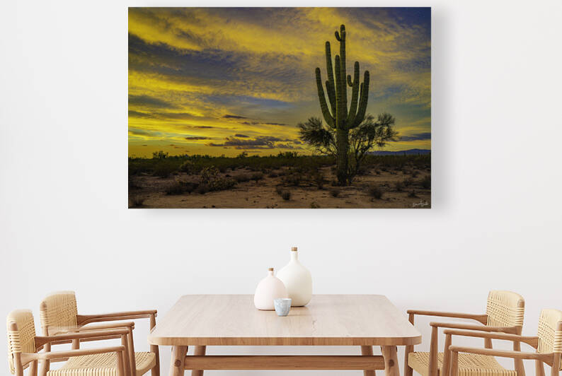 Yellow Skies Beyond the Saguaro by SoapBoxintheSky