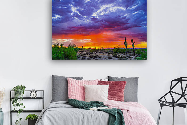 Desert Dreamn by SoapBoxintheSky