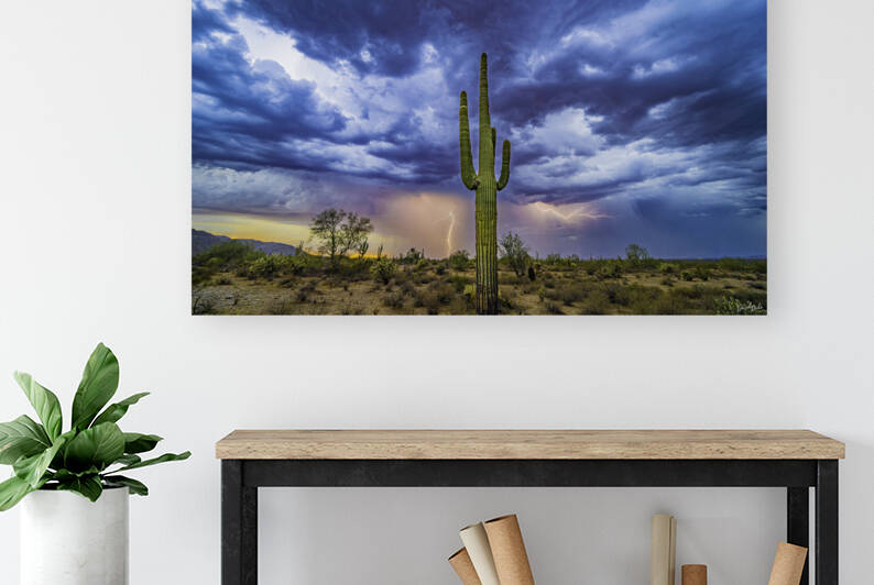 Double Strike Saguaro by SoapBoxintheSky