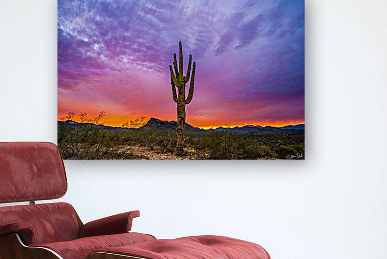 Blazing Saguaro Sunset by SoapBoxintheSky