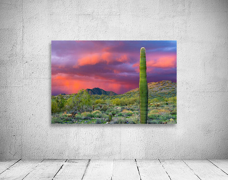 Rain Over McDowell Wall Preview