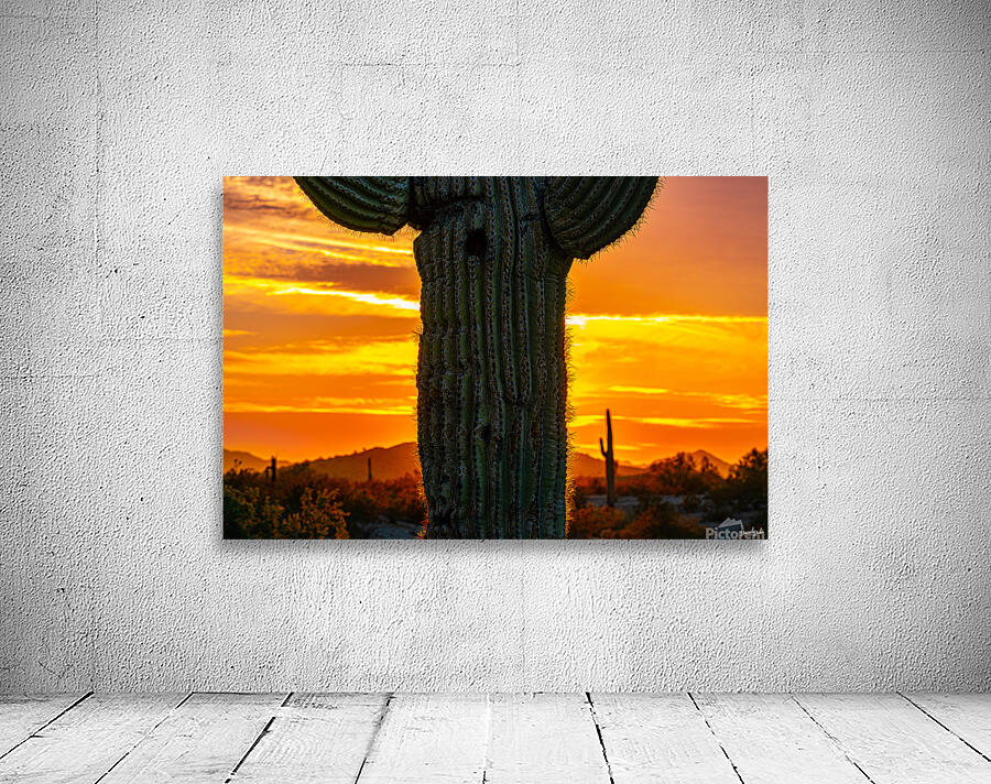 Sunset Saguaro Wall Preview
