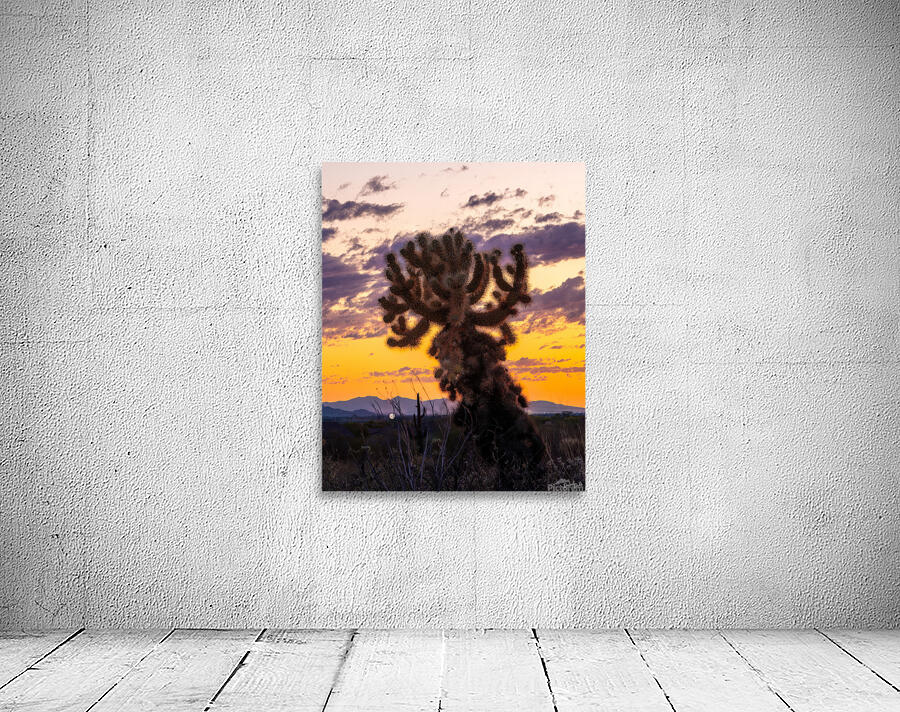 Cholla Sunset Wall Preview