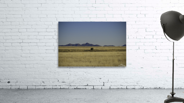 Lonely Tree Prescott Wall Preview