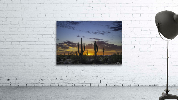 Saguaro Lineup Wall Preview