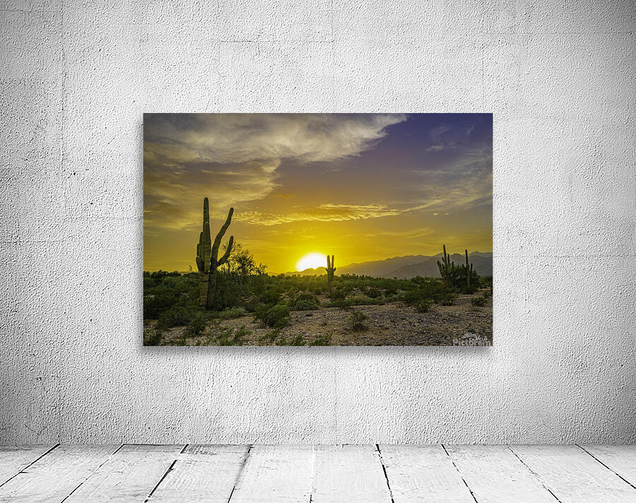 Sunset Over Verrado Wall Preview