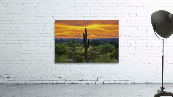 Fire Behind the Cactus Wall Preview