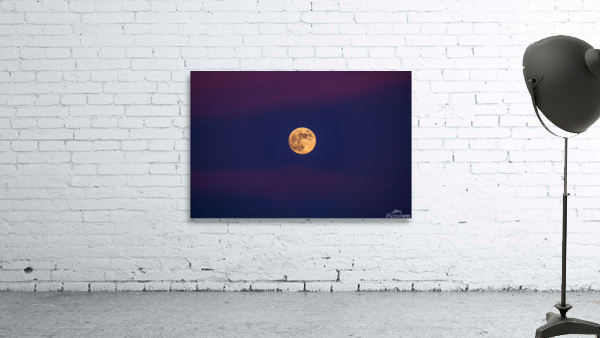 Magnificent Moon Wall Preview