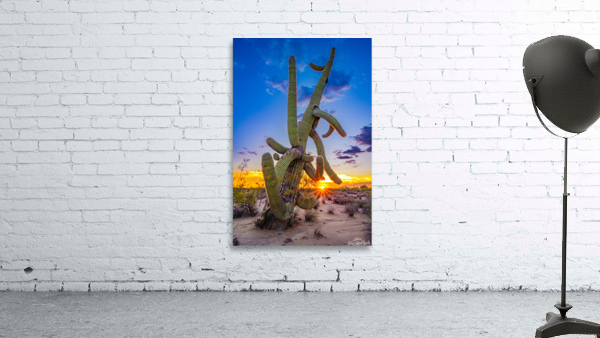 Tangled Sunset Wall Preview
