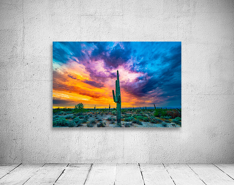 Color Explosion Wall Preview