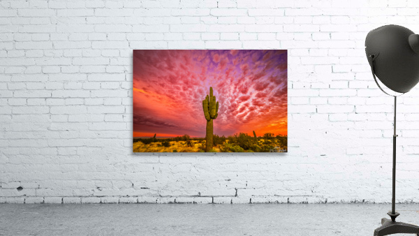 Skies Ablaze Wall Preview