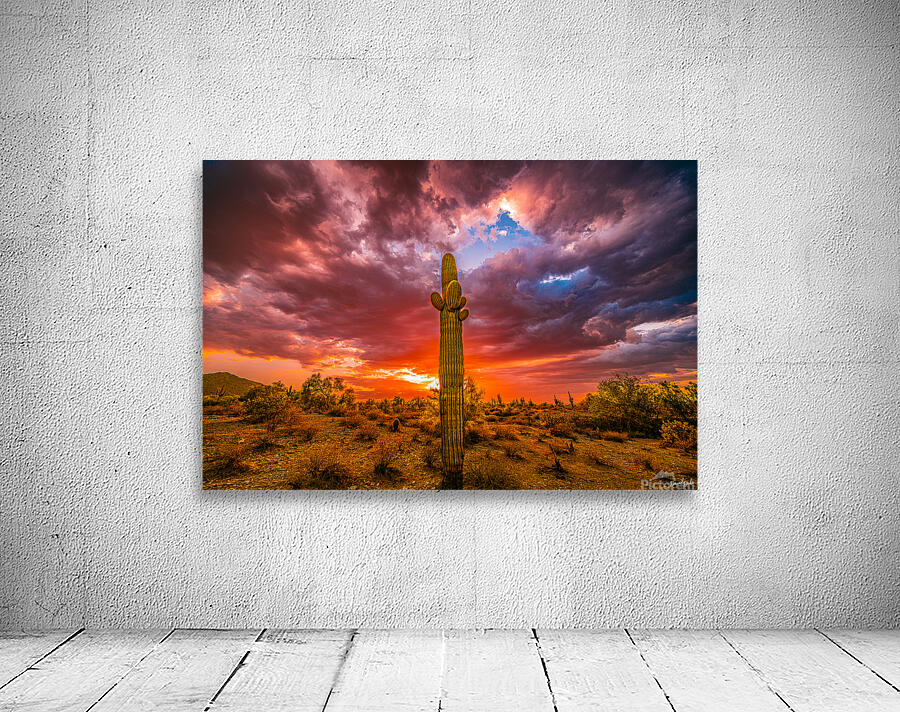 Illuminated Saguaro Wall Preview