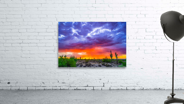 Desert Dreamn Wall Preview