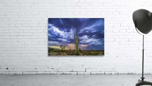 Double Strike Saguaro Wall Preview