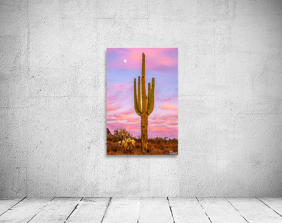 Reaching for the Moon Wall Preview
