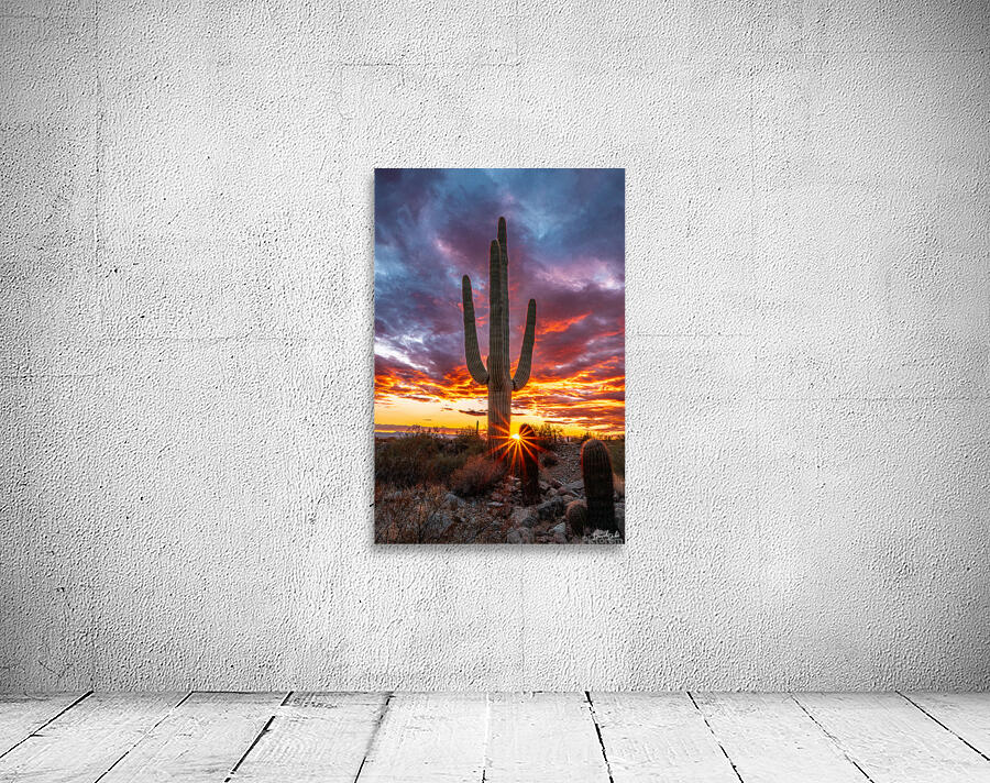 Setting Sun at Lost Dog Wall Preview