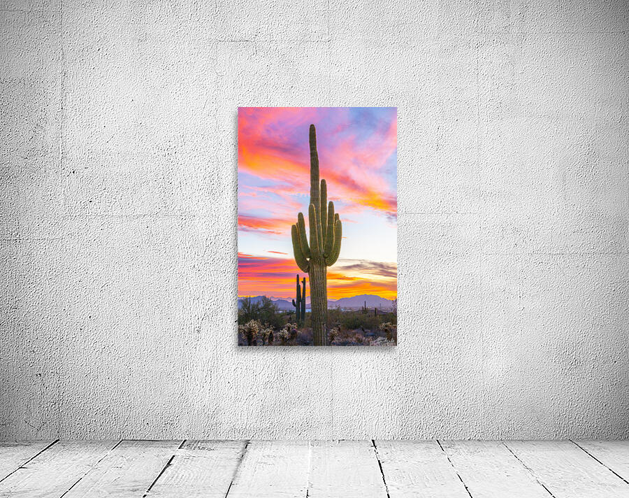 Into the Colors Wall Preview