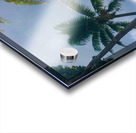 Motu Mahaea Palms Acrylic print