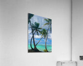 Motu Mahaea Palms Acrylic Print