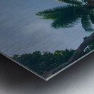 Motu Mahaea Palms Metal print