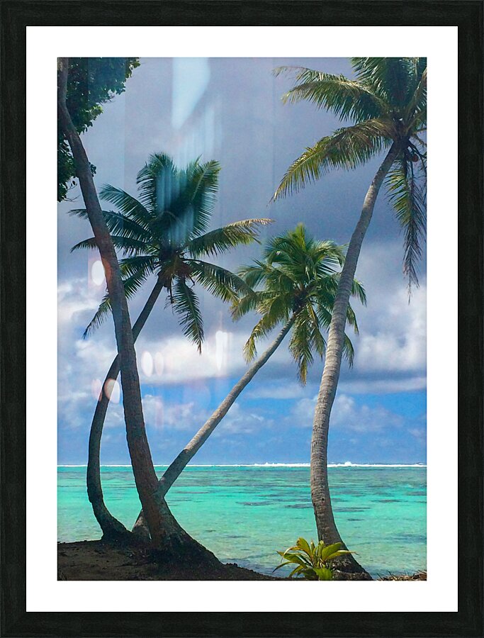 Motu Mahaea Palms Picture Frame print