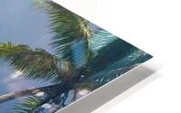 Motu Mahaea Palms HD Metal print