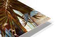 Mexican Wall HD Metal print