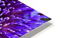 Artichoke Flower HD Metal print