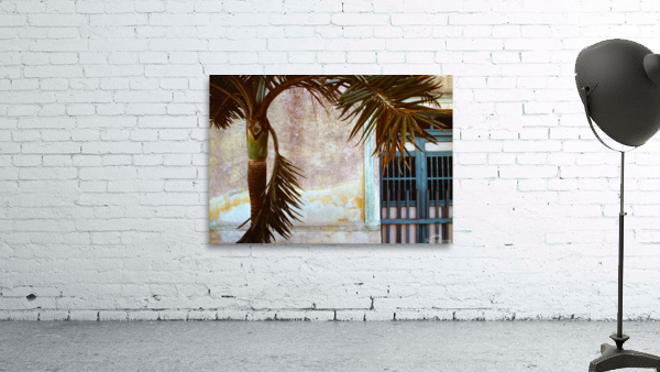 Mexican Wall Wall Preview