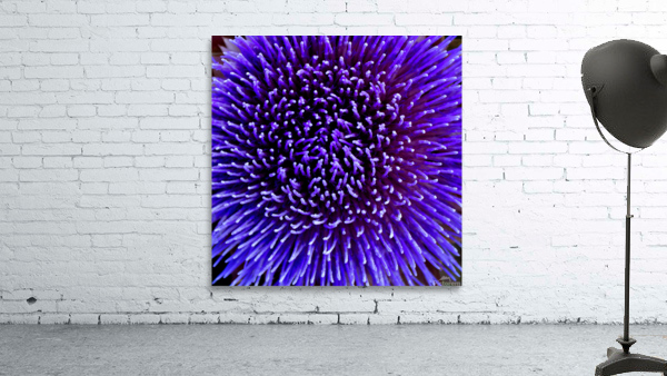 Artichoke Flower Wall Preview
