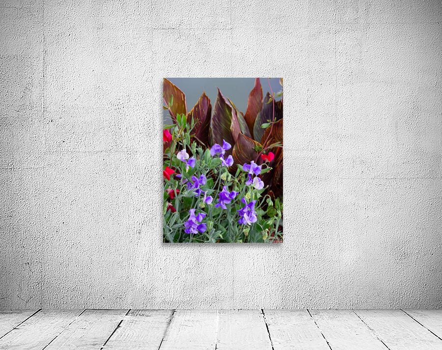 Sweet Peas 2 Wall Preview