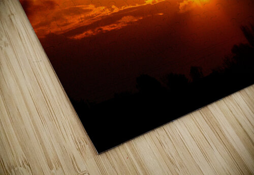 Fire in the Sky Birgit Moldenhauer puzzle