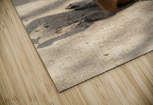 Monkey - Mothers Breakfast Birgit Moldenhauer puzzle