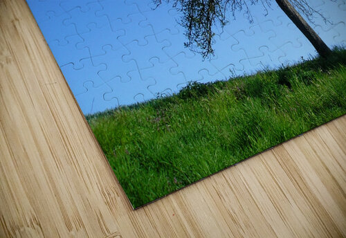 Lonely Tree in Spring Birgit Moldenhauer puzzle