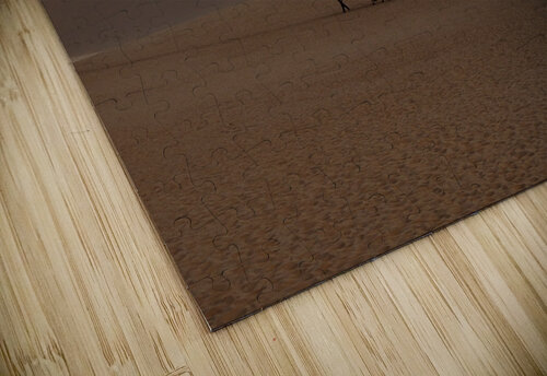 Silk Road Birgit Moldenhauer puzzle