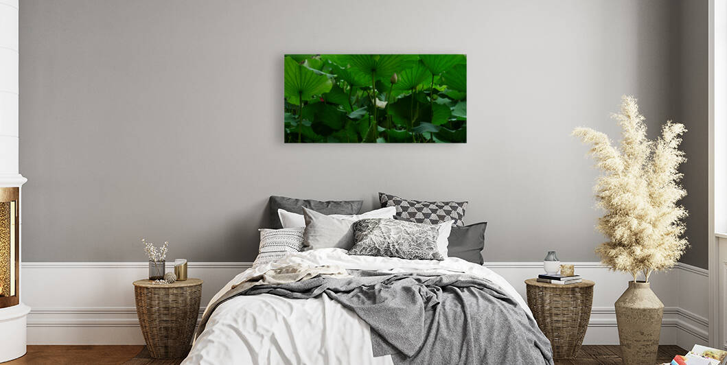 Under the Lotus Leaves by Birgit Moldenhauer