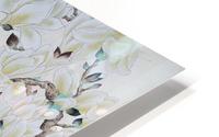 White Magnolia HD Metal print