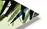 Bamboo - olive green HD Metal print