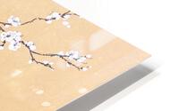 Spring Melody - no Cally HD Metal print