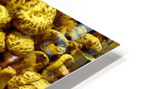 Shiitake Mushrooms HD Metal print