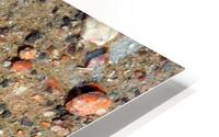 Perfect Camouflage HD Metal print