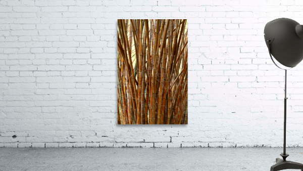 Old Bamboo Wall Preview