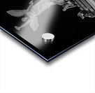 canadian national exhibition at night  vertical 4 Acrylic print