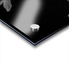 canadian national exhibition at night  horizontal Acrylic print