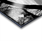 downtown toronto skyline from wards island  horiz Acrylic print